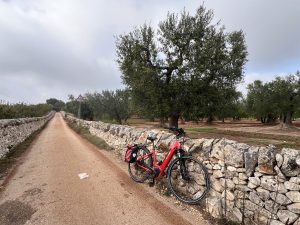 Heart of Puglia - Self-Guided Bike tour - Italy - Van Gogh Tours