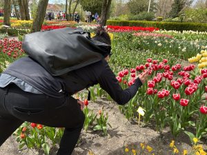 Deluxe Springtime Tour - Bike and Barge - Van Gogh Tours - The Netherlands