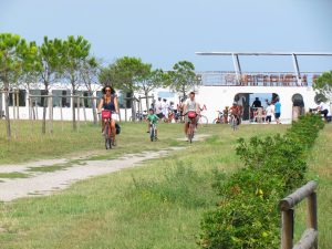 Venice to Mantua - Bike and Barge - Italy - Van Gogh Tours