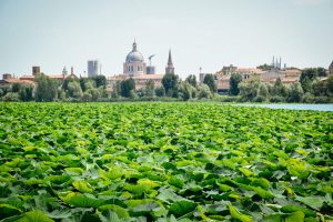 Venice to Mantua - Bike and Barge - Italy - Van Gogh Tours