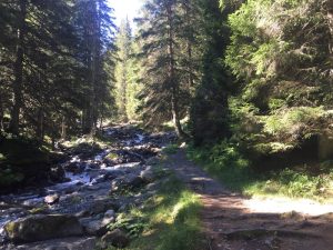Bavarian Alpine Walk - Self-Guided walking tour Germany and Austria - Van Gogh Tours