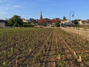 Burgundy Vineyards - Self Guided Bike Tour France - Van Gogh Tours