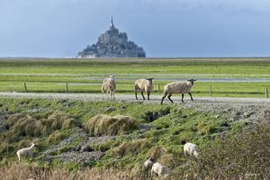 The heart of Brittany - Self Guided Bike Tour - France Bretagne - Van Gogh Tours