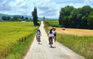Van Gogh Tours - The Best of Umbria and Tuscany Cycling Tour