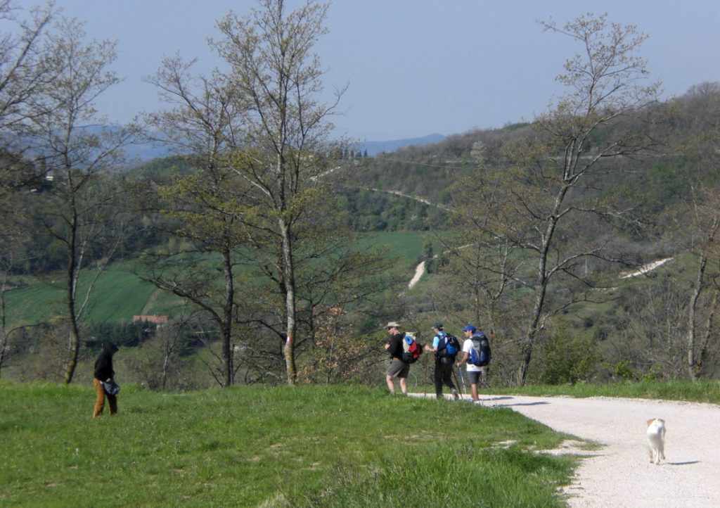 Umbrian Delight Walking