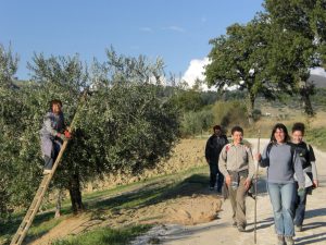 Umbrian Delight Walking Tour - Van Gogh Tours - Self Guided - Italy