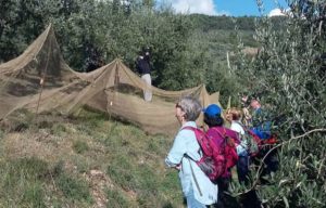 Umbrian Delight Walking Tour - Van Gogh Tours - Self Guided - Italy