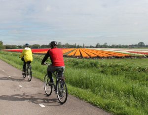 Deluxe Springtime Tour - Bike and Barge - Van Gogh Tours