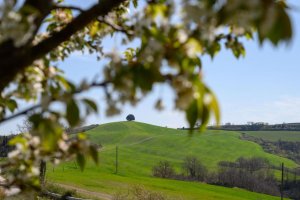 Van Gogh Tours - The Best of Umbria and Tuscany Cycling Tour