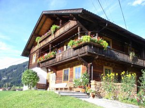 Bike Tour Self-Guided - Van Gogh Tours - Alps Austria