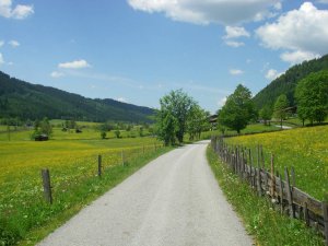 Bike Tour Self-Guided - Van Gogh Tours - Alps Austria