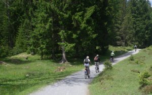 Bike Tour Self-Guided - Van Gogh Tours - Alps Austria