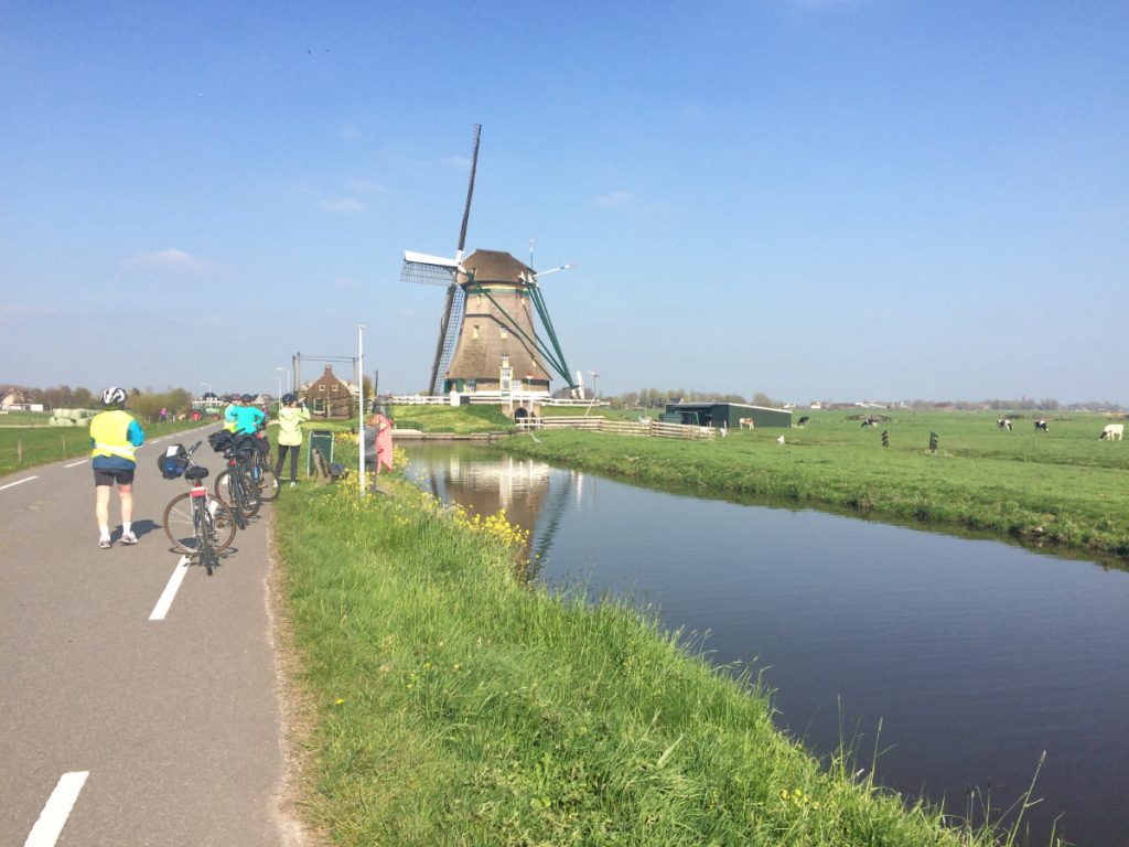 Van Gogh Tours - country of tulips Tour