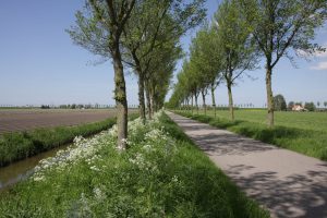 Northern Route - Bike and Barge - Van Gogh Tours - The Netherlands