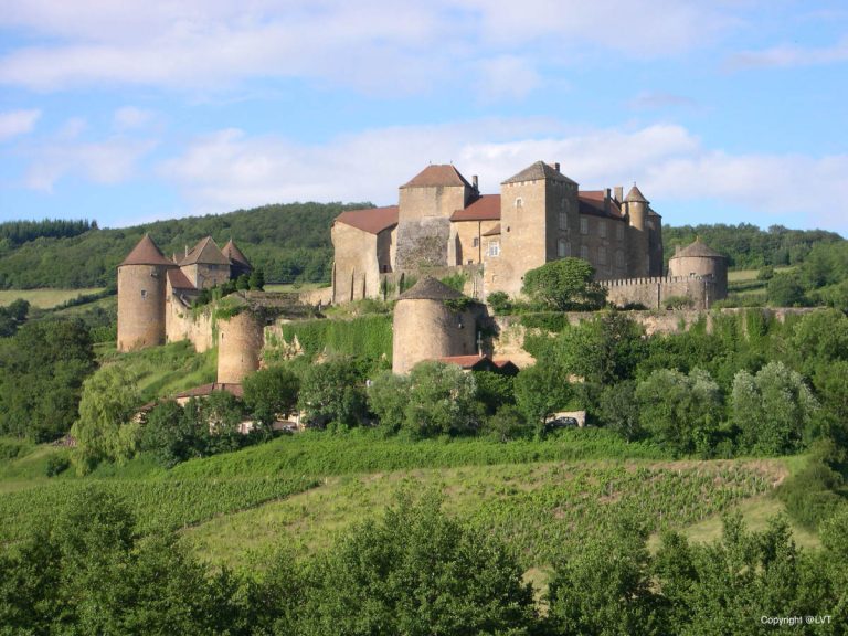 Burgundy Vineyards - Self Guided Bike Tour France - Van Gogh Tours