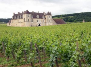 Burgundy Vineyards - Self Guided Bike Tour France - Van Gogh Tours