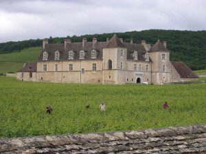 Burgundy Vineyards - Self Guided Bike Tour France - Van Gogh Tours