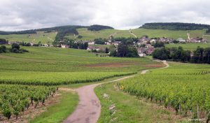 Burgundy Vineyards - Self Guided Bike Tour France - Van Gogh Tours