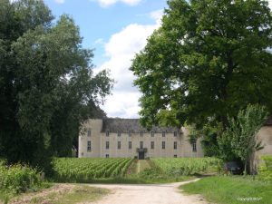 Burgundy Vineyards - Self Guided Bike Tour France - Van Gogh Tours