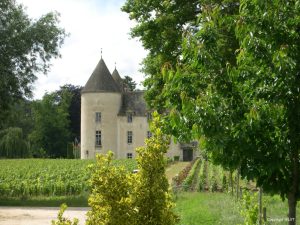 Burgundy Vineyards - Self Guided Bike Tour France - Van Gogh Tours