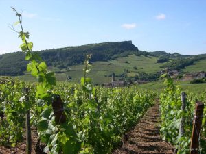 Burgundy Vineyards - Self Guided Bike Tour France - Van Gogh Tours