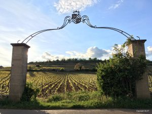 Burgundy Vineyards - Self Guided Bike Tour France - Van Gogh Tours
