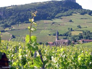 Burgundy Vineyards - Self Guided Bike Tour France - Van Gogh Tours