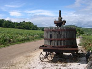 Burgundy Vineyards - Self Guided Bike Tour France - Van Gogh Tours