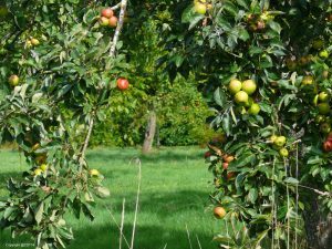 Normandy Coast - Self Guided Bike Tour - France - Van Gogh Tours