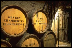 Burgundy Vineyards - Self Guided Bike Tour France - Van Gogh Tours