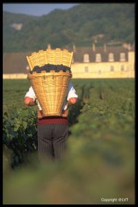 Burgundy Vineyards - Self Guided Bike Tour France - Van Gogh Tours