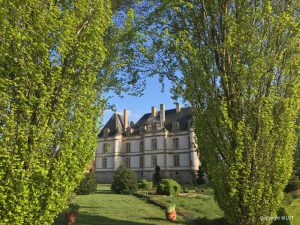 Burgundy Vineyards - Self Guided Bike Tour France - Van Gogh Tours
