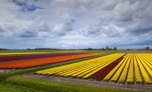 Northern Route - Bike and Barge - Van Gogh Tours - The Netherlands