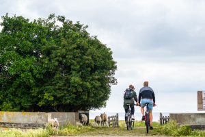 Discover Friesland - Bike and Barge - Van Gogh Tours