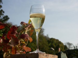Le tour de Champagne - Self Guided Bike Tour France - Van Gogh Tours