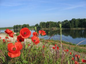 Heart of Chateau Country - Loire Valley France - Self Guided Bike Tour - Van Gogh Tours