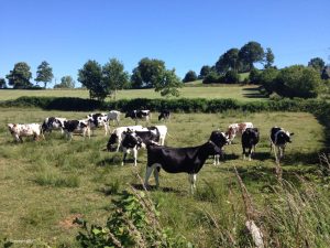 Normandy Coast - Self Guided Bike Tour - France - Van Gogh Tours