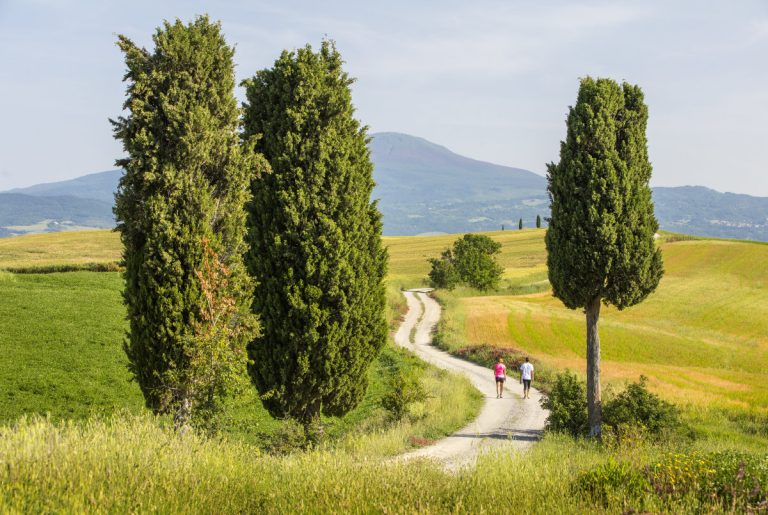 Walking the Tuscan Hills - Van Gogh Tours - Self-Guided - Italy