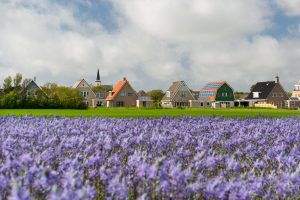 Northern Route - Bike and Barge - Van Gogh Tours - The Netherlands