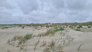 Discover Friesland - Bike and Barge - Van Gogh Tours