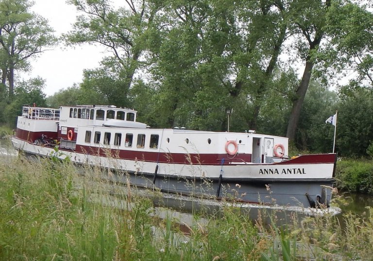 Peter van Aemstel (Anna Antal)