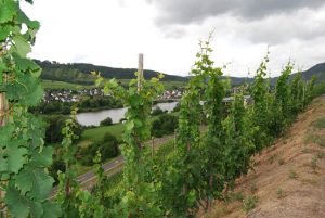 Amsterdam to Cochem - Bike and Barge Germany - Van Gogh Tours