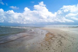 Holland Island Hopping - Van Gogh Tours - Netherlands - Bike and Barge