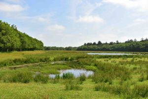 Holland Island Hopping - Van Gogh Tours - Netherlands - Bike and Barge