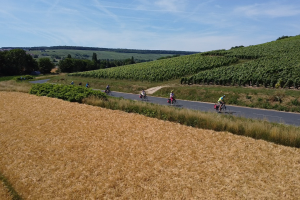 3ee34b27-cycling-through-champagne-1200x800