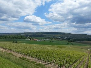 Espernay Champagne - Paris - Boat bike tours - Van Gogh Tours - France