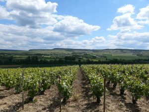 Espernay Champagne - Paris - Boat bike tours - Van Gogh Tours - France