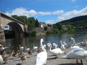 Saar and Mosel River Route - Bike and Barge tour - Germany - Van Gogh Tours