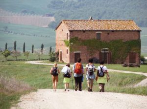 Walking the Tuscan Hills - Van Gogh Tours - Self-Guided - Italy
