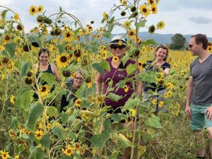 Walking the Tuscan Hills - Van Gogh Tours - Self-Guided - Italy